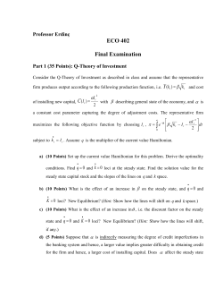 Professor Erdin&ccedil;