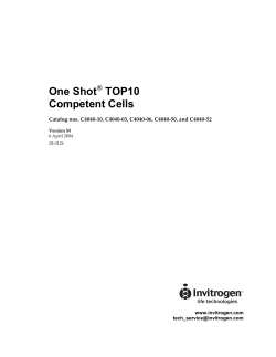 One Shot TOP10
