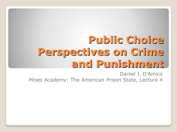 Public Choice Perspectives on Crime and Punishment