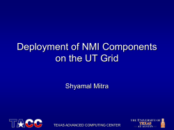 TACC PowerPoint Template