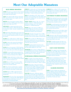 Meet Our Adoptable Manatees