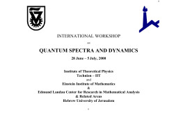 qsd_workshop-00 - Einstein Institute of Mathematics @ The
