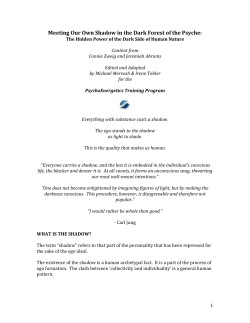 Meeting Our Shadow - PsychoEnergetics Training