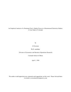 An Empirical Analysis of a Dominant Firm`s Market Power in a