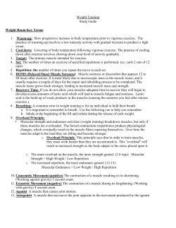 Microsoft Word - Weight Training Study Guide 2.doc
