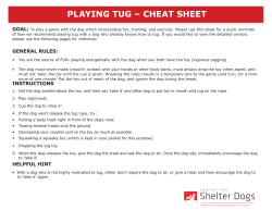 playing tug &ndash; cheat sheet