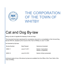 Cat and Dog By-law