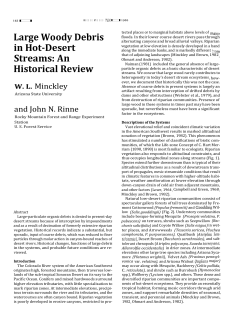 Large Woody Debris in Hot-Desert Streams