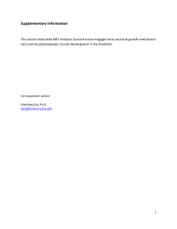 Supplementary Informations (docx 467K)