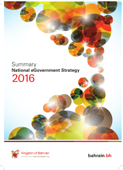 eGovernment strategy