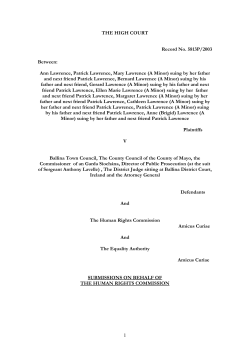 the high court - Irish Human Rights and Equality Commission