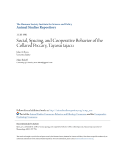 Social, Spacing, and Cooperative Behavior of the Collared Peccary