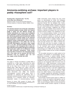 Ammonia-oxidizing archaea: important players in paddy rhizosphere