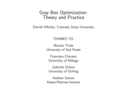 Gray Box Optimization: Theory and Practice