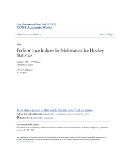 Performance Indices for Multivariate Ice Hockey Statistics