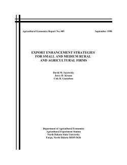 export enhancement strategies for small and