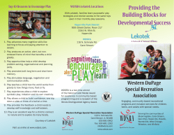 Providing the Building Blocks for Developmental Success