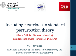 Including neutrinos in standard perturbation theory