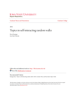 Topics in self-interacting random walks