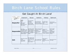 Birch Lane School Rules