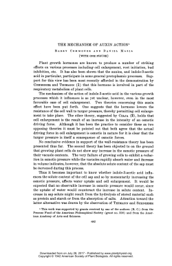 THE MECHANISM OF AUXIN ACTION` acid in particular, participate