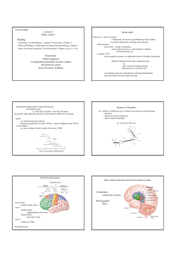 Motor control (Lecture 3)