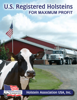 US Registered Holsteins for Maximum Profit