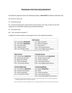 PROGRAM POSITION REQUIREMENTS