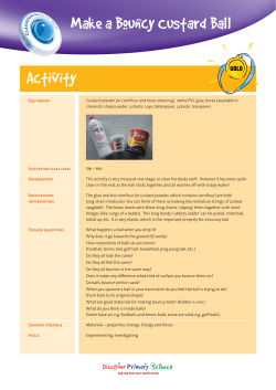 Make a Bouncy Custard Ball Activity