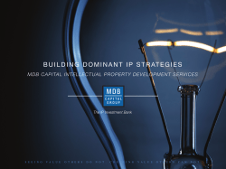 building dominant ip strategies