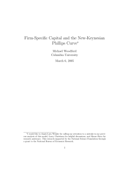 Firm-Specific Capital and the New