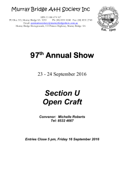 97 Annual Show Section U Open Craft