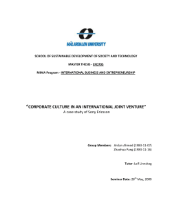 corporate culture in an international joint venture