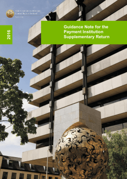 Guidance Note for the Payment Institution Supplementary Return 2016