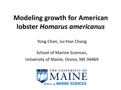 Population models used in the U.S. Lobster fishery