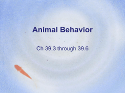 AP Animal Behavior