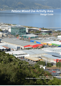 Petone Mixed Use Activity Area