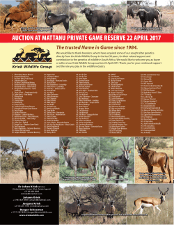 AUCTION AT MATTANU PRIVATE GAME RESERVE 22 APRIL 2017