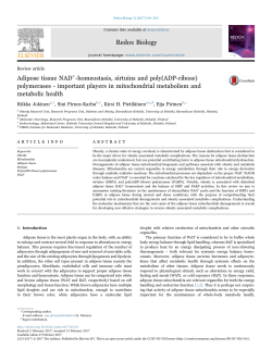 Adipose tissue NAD+-homeostasis, sirtuins and poly(ADP