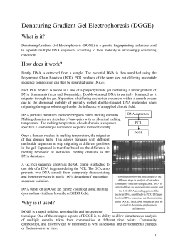 Denaturing Gradient Gel Electrophoresis (DGGE)