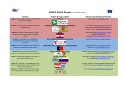 Actions Action Group Leaders Action Group Representatives