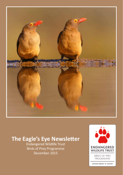 The Eagle`s Eye Newsletter - Endangered Wildlife Trust