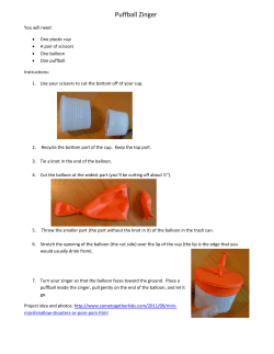 Struckmeyer zinger catapult instructions