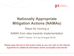 Nationally Appropriate Mitigation Actions (NAMAs)