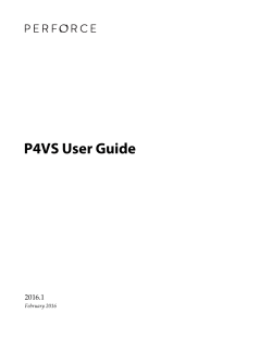 P4VS User Guide - 2016.1