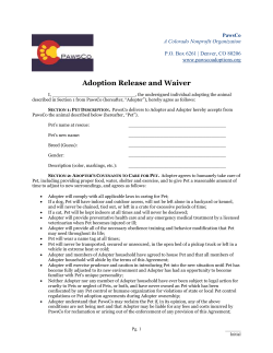 Adoption Release and Waiver