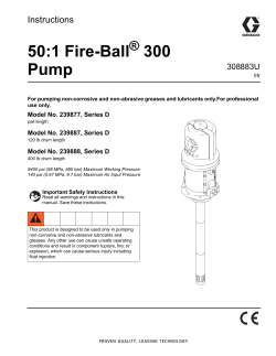 308883U 50:1 Fire-Ball 300 Pump, Instructions, English