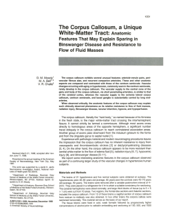The Corpus Callosum, a Unique White-Matter Tract