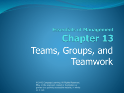 13. Teams, Groups, and Teamwork.