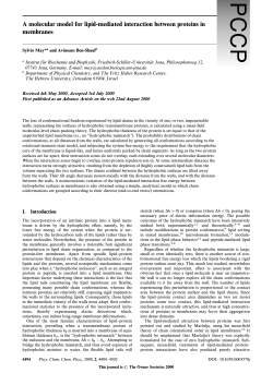 A molecular model for lipid-mediated interaction between proteins in